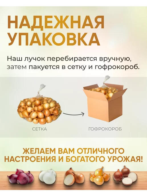 урожай на все 100 Лук севок для посадки Геркулес 0.5кг, 500 г, фото 2