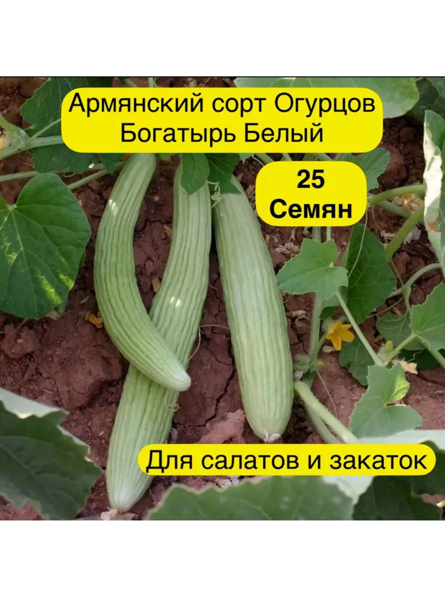 Семена Огурец Армянский, Богатырь белый 25 шт