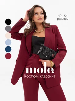 Костюм брючный деловой mole. 217825791 купить за 3 342 ₽ в интернет-магазине Wildberries