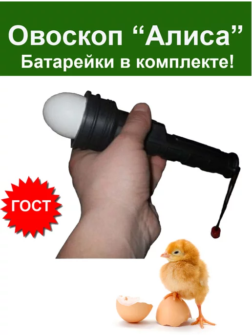 Овоскоп для инкубатора Овоскоп Алиса для инкубатора для проверки просвечивания яиц, вариант