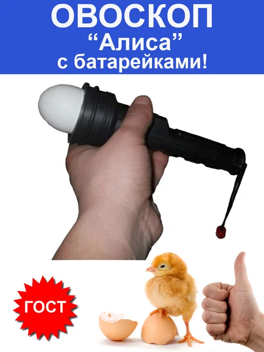 Овоскоп для инкубатора Овоскоп для яиц для инкубатора для проверки качества яиц, вариант