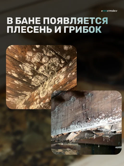 Prosept Антисептик для бани и сауны ECO SAUNA 5 л, 5 л, фото 4