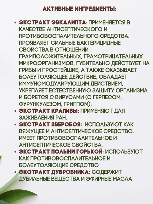 Эско-Фарм Хлорофиллипт спрей для полости рта и горла 2шт по 45мл, 2 шт, 45 мл, фото 3