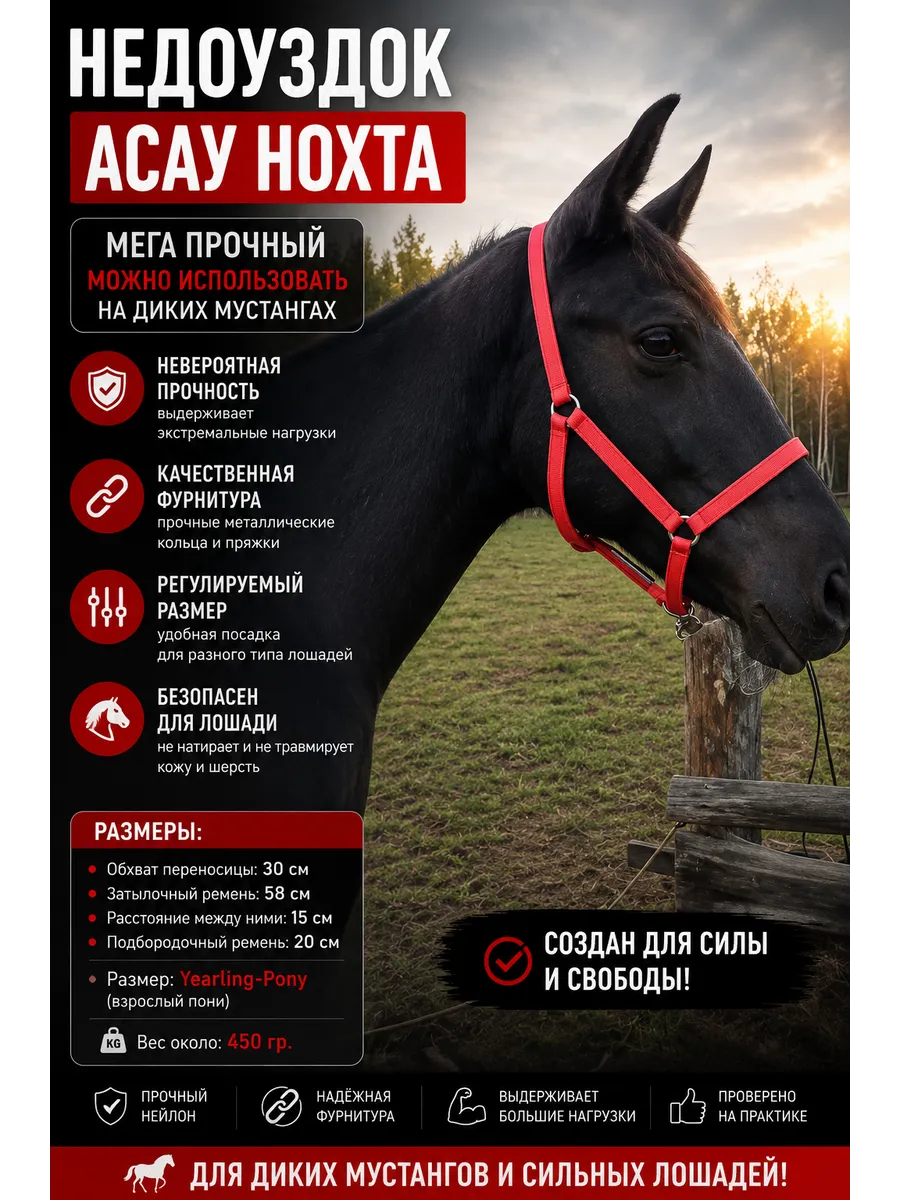 Недоуздок для лошадей "Асау тай ноқта" от 1 до 3 лет
