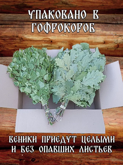 Дубовый Веник Веники для бани из Марий Эл 1 берёзовый и 1 дубовый, 2 шт, фото 2