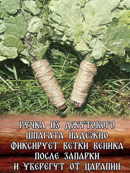Дубовый Веник Веники для бани дубовый и березовый веник джут 2026, вариант, фото 2