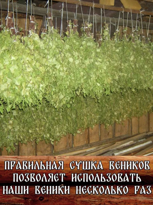 Дубовый Веник Веники для бани дубовый и березовый веник джут 2026, вариант, фото 7