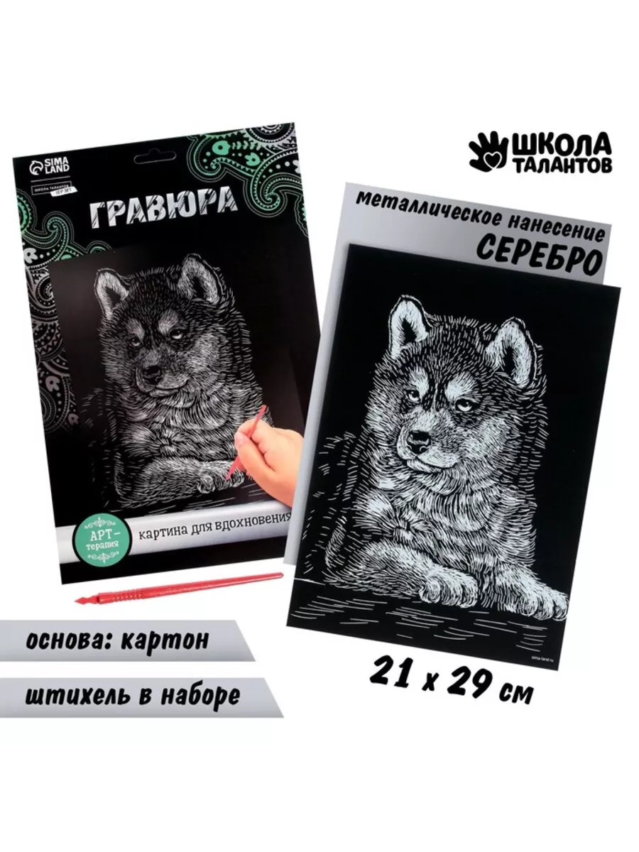 Гравюра Щенок хаски, серебро A4, 1 шт