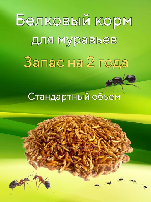 EXOTICANIMALS Корм белковый для муравьев, вариант