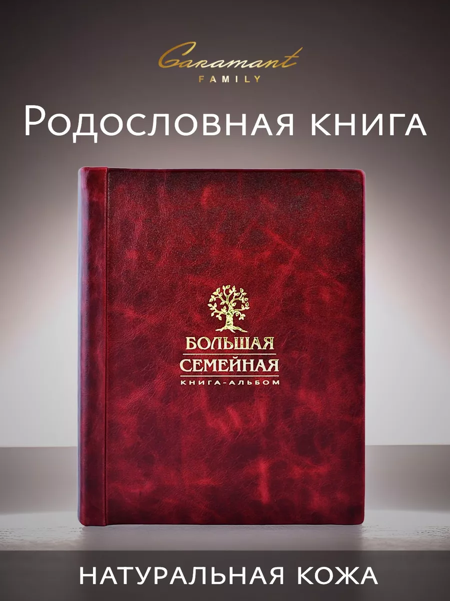 Большая семейная родословная книга