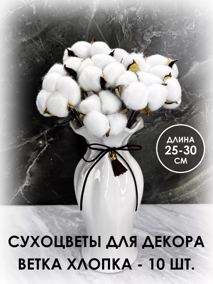 Сухоцветы для...