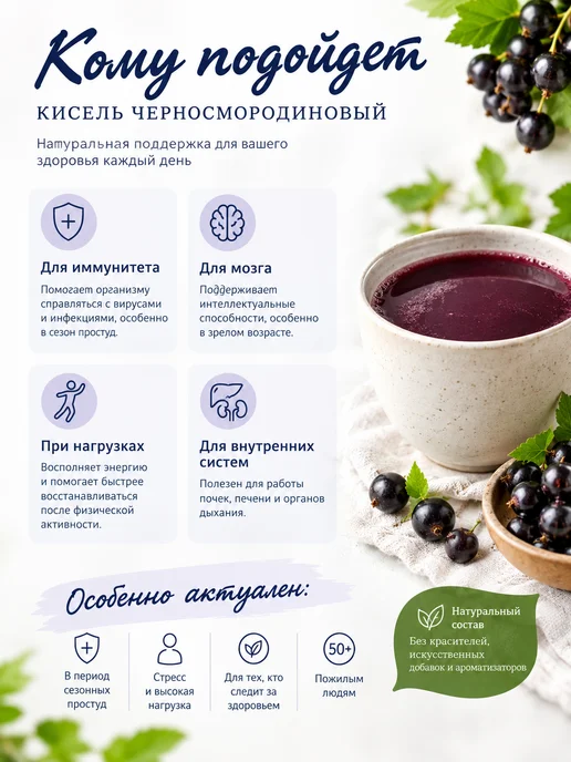 АлтайФлора Кисель сухой витаминизированный черная смородина 10 шт, 10 шт, фото 2