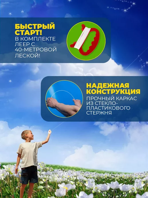 Воздушный праздник Воздушный Змей для ребенка большой Орел, черный, фото 2