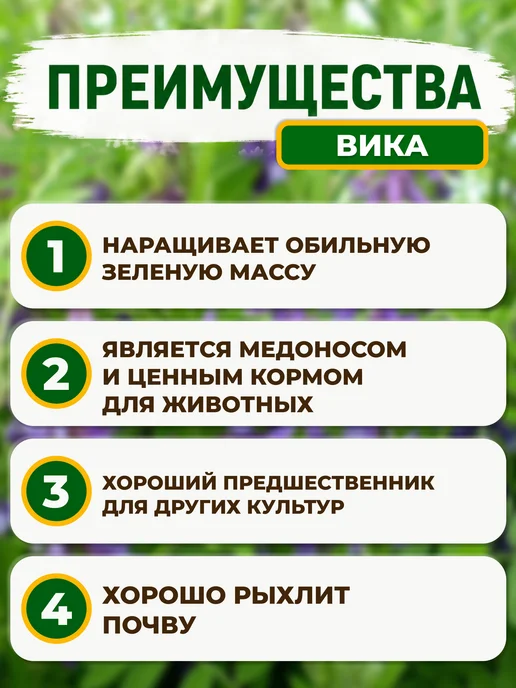Сидерат для огорода Сидераты для огорода вика 1кг, 1 кг, фото 2