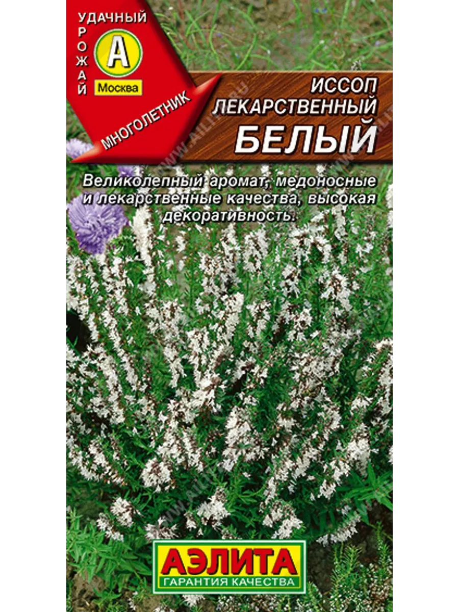 Иссоп семена иссоп лекарственный белый 1 шт