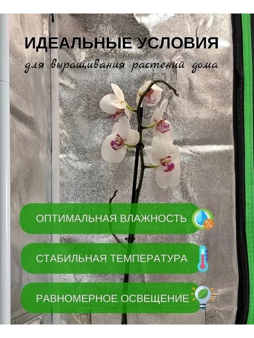 Гроубокс (гроутент) 90х90х180, 50x160, фото 3