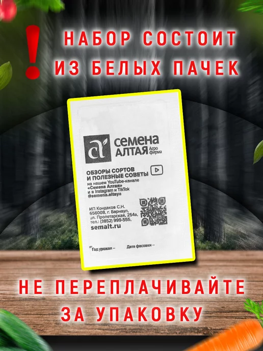 Семена Алтая Семена Укропа для огорода ранний, балкона, подоконника, зеленый, фото 2