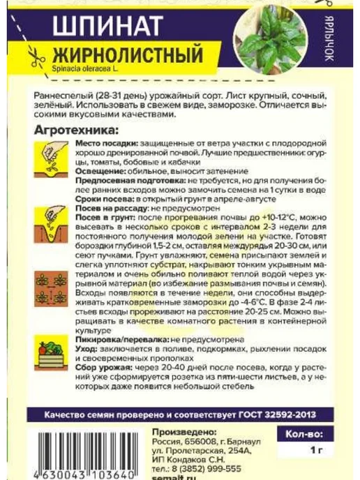 Семена Алтая Семена Укропа для огорода ранний, балкона, подоконника, зеленый, фото 3