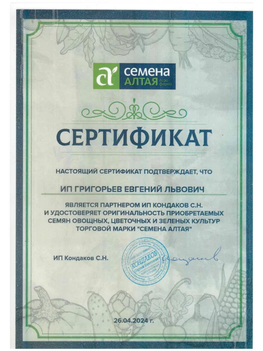 Семена Алтая Семена Укропа для огорода ранний, балкона, подоконника, зеленый, фото 7
