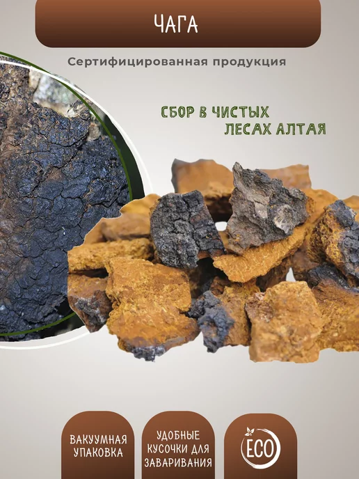 FungiThera Чага березовая кусковая 150 грамм, вариант, фото 3