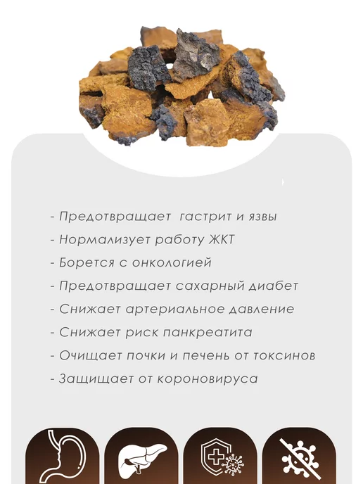 FungiThera Чага березовая кусковая 150 грамм, вариант, фото 4