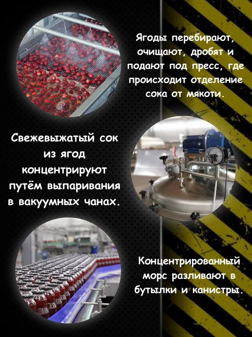 Djemka Морс малиновый концентрированный, 1 кг, 1 кг, фото 3