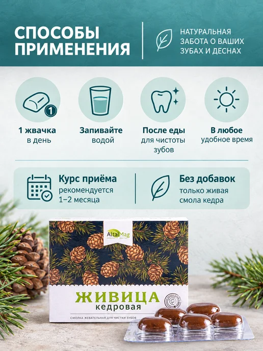 Altaimag Смолка жевательная кедровая живица 5 шт, 5 шт, фото 3