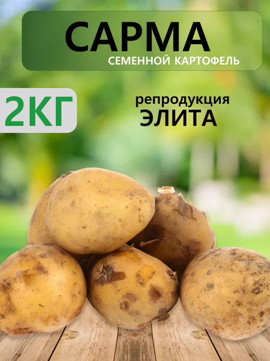 Семенной картофель Сарма на посадку Organica 218364170 купить в  интернет-магазине Wildberries