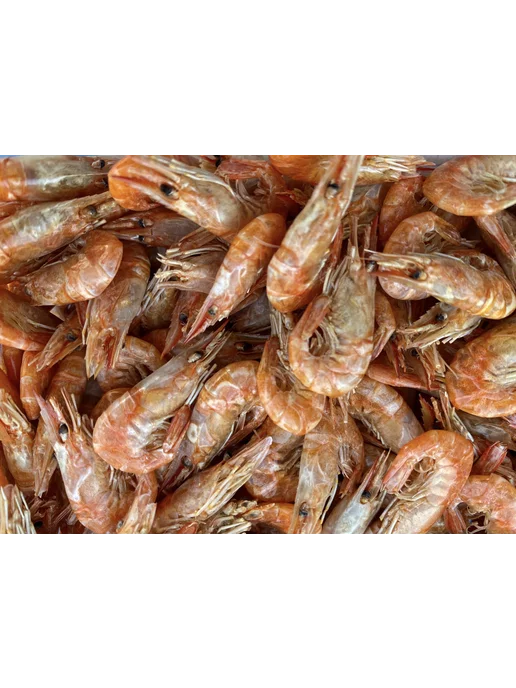 отличный Креветка сушеная, корм для аквариумных рыб и рептилий, вариант, фото 5