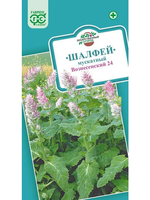 Шалфей Семенами Цена