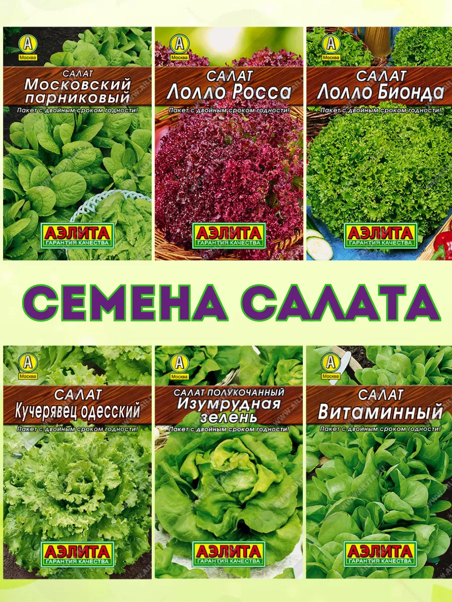 Семена салата