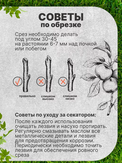 Сервиском Секатор для сада и цветов профессиональный, вариант, фото 7