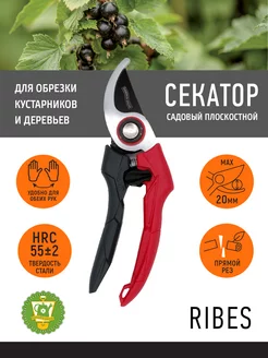 Секатор плоскостной Rines, L21,5 см, красный GARDEN SHOW 218486513 купить за 376 ₽ в интернет-магазине Wildberries