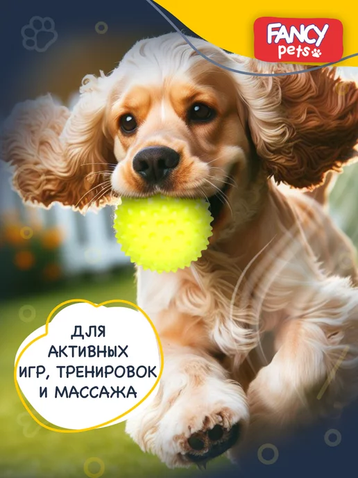 Игрушка Мячик игольчатый для собак и массажа image
