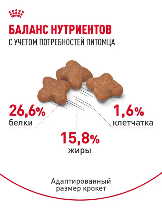 Сухой корм Royal canin Малых для собак, взрослые, мелкие, пожилые, 4 кг, фото 4