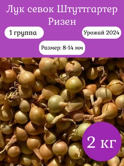 Лук севок на посадку лучок-пучок 218534160 купить за 371 ₽ в интернет-магазине Wildberries