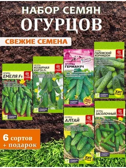 Семена огурцов самоопыляемые для открытого грунта Семена Алтая 218538367 купить за 275 ₽ в интернет-магазине Wildberries