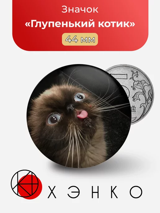 Глупенький котик