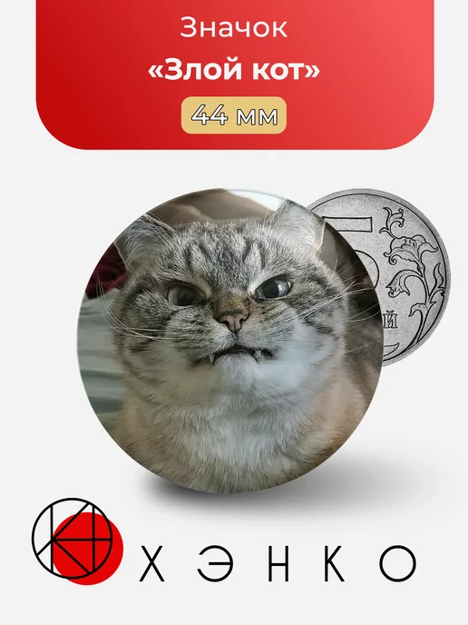 Злой кот