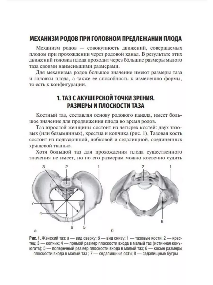 Как опустить голову ребенка в таз?