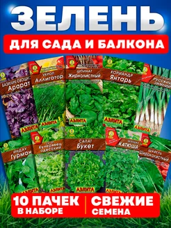 Семена зелени укропа петрушки салат шпинат базилик щавель Агрофирма Аэлита 218584650 купить за 214 ₽ в интернет-магазине Wildberries