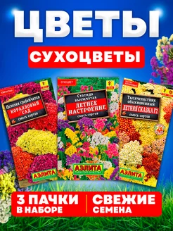 Семена цветов сухоцветы статица Агрофирма Аэлита 218584661 купить за 147 ₽ в интернет-магазине Wildberries