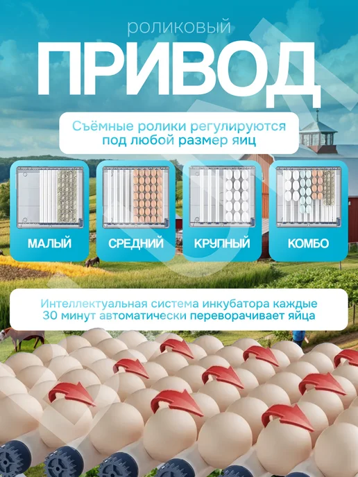 Инкубатор автоматический Инкубатор для 256 яиц автоматический лоток,терморегулятор, синий, фото 5