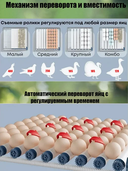Инкубатор автоматический Инкубатор для 256 яиц автоматический лоток,терморегулятор, синий, фото 8