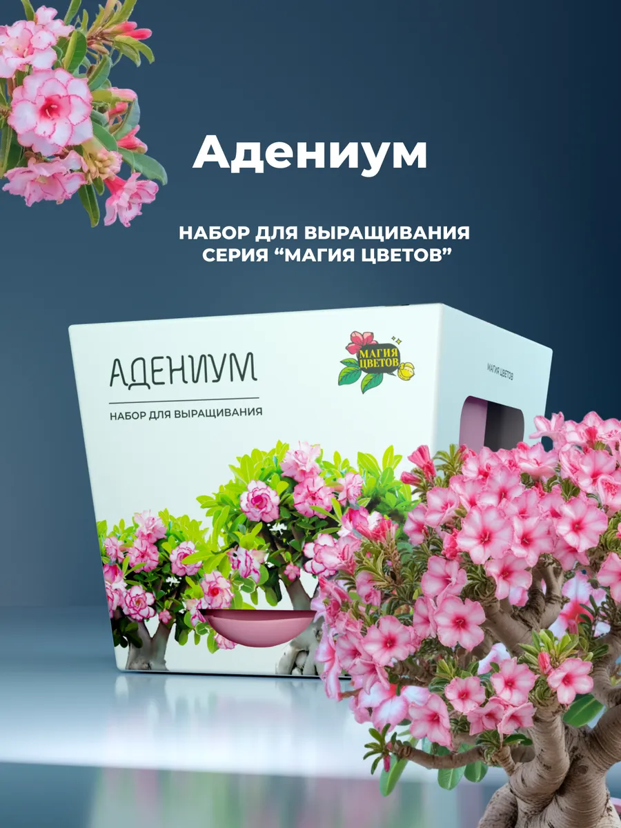 Адениум Набор для...