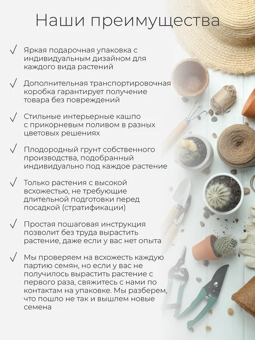 Магия Цветов Адениум Набор для выращивания растений, вариант, фото 2