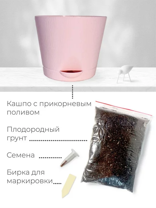 Магия Цветов Адениум Набор для выращивания растений, вариант, фото 4