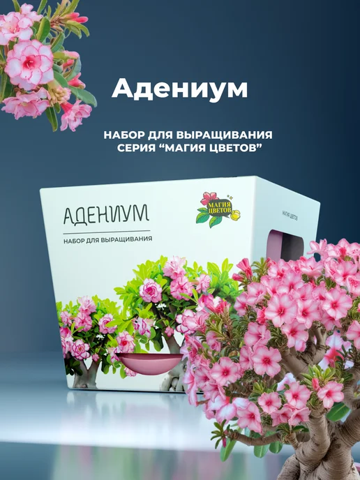 Магия Цветов Адениум Набор для выращивания растений, вариант, фото 7