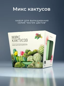 Микс Кактусов Набор для выращивания Магия цветов 218789784 купить за 413 ₽ в интернет-магазине Wildberries