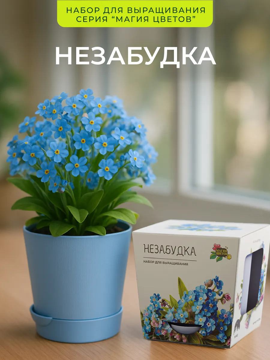 Незабудка Набор для выращивания растений